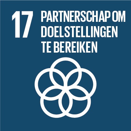 17-partnerschap-om-doelstellingen-te-bereiken.jpg